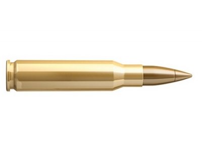 Sellier & Bellot .308 Winchester HPC 11,7g-1